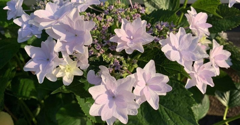 出会いを大切にできない人の特徴 小池玲史のnote学部執筆学科 note