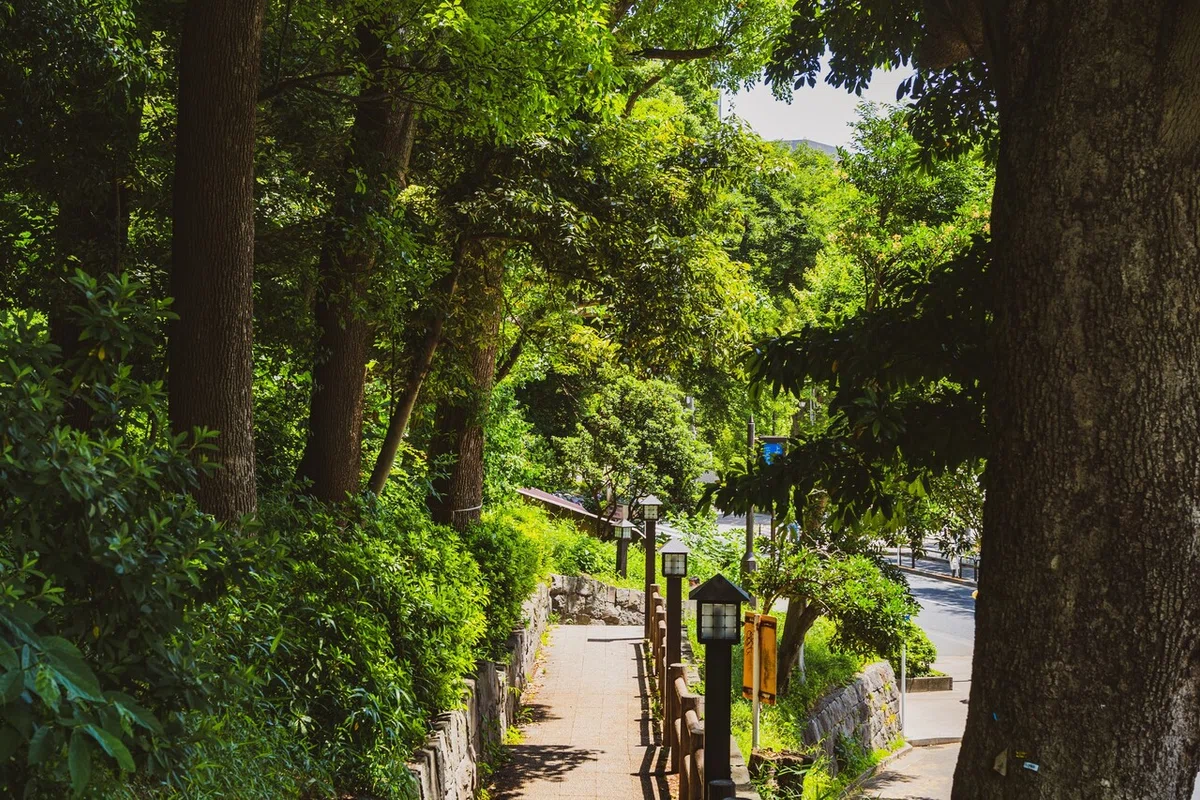 画像18