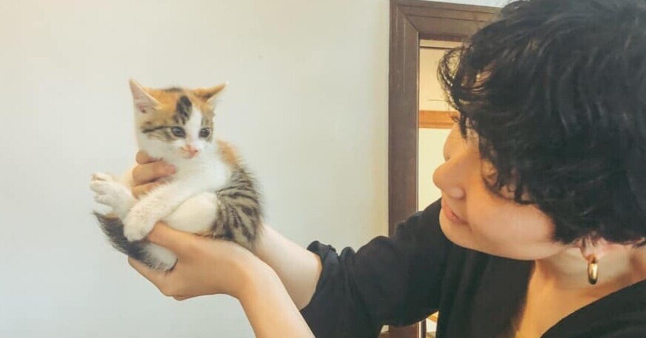 友人が猫を拾った話 スイスイ Note