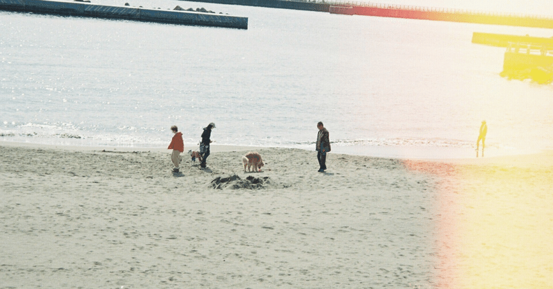 海が友達🏖