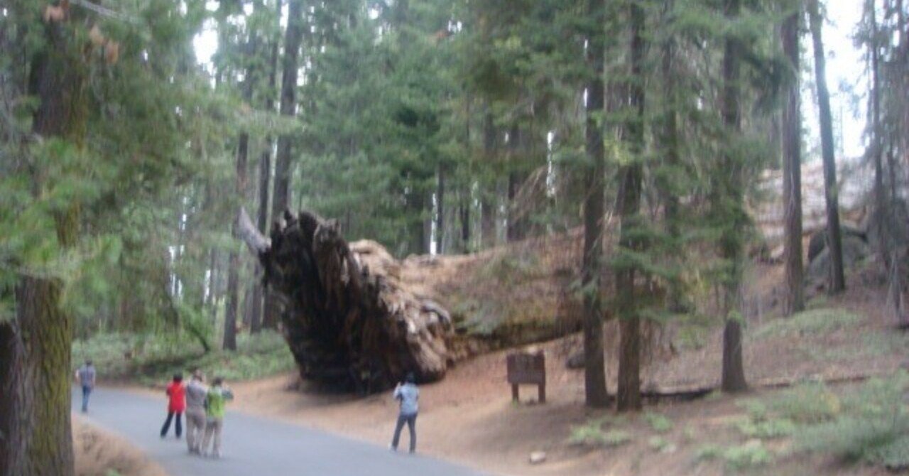 海外生活の記憶 米州2010 s 21 カリフォルニア州セコイア国立公園 角 京都 Note 海外生活の記憶 米州2010 s 21 カリフォルニア州セコイア国立公園 角 京都 Note