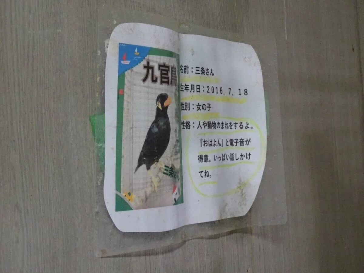 画像14