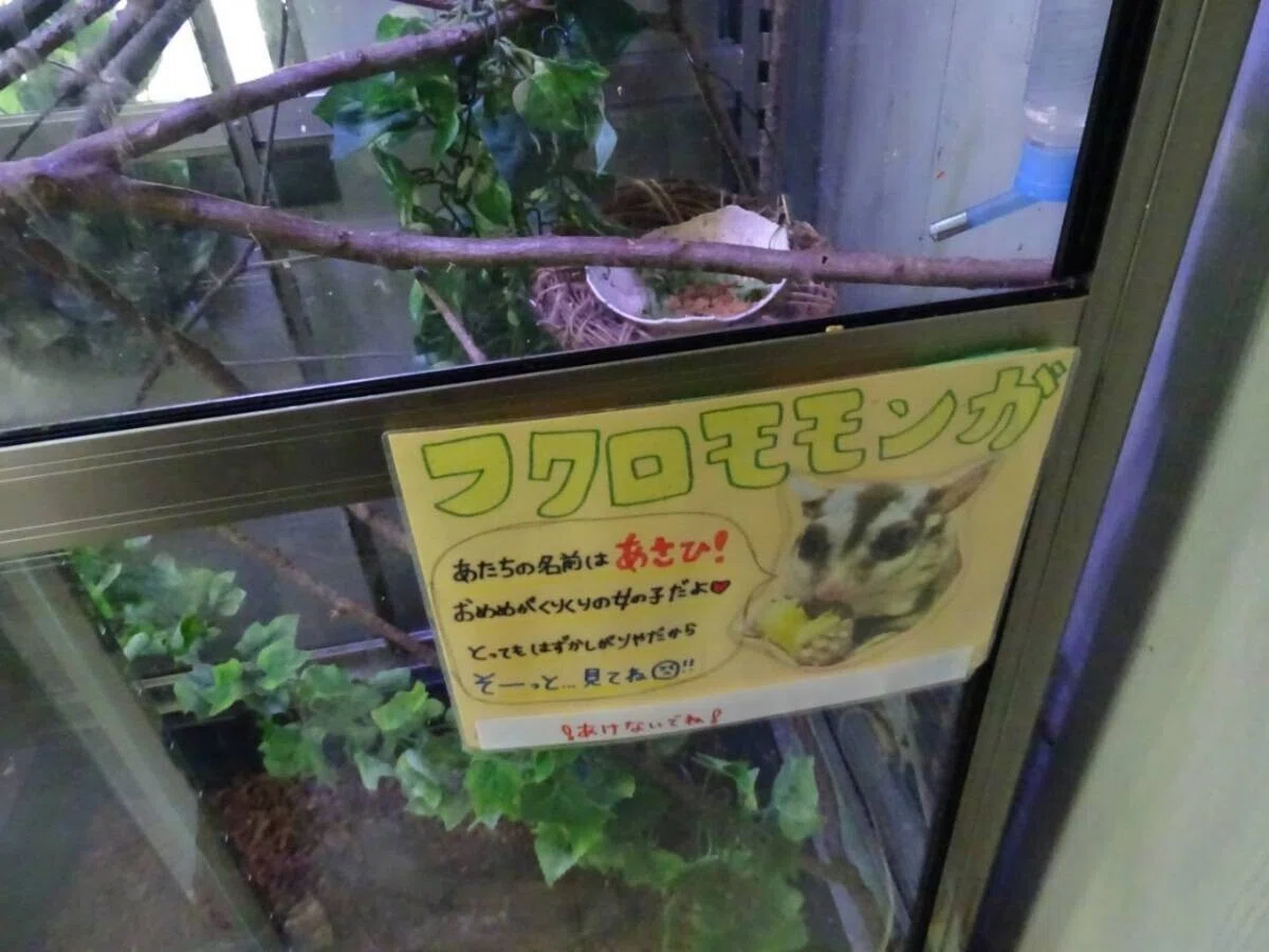 画像15