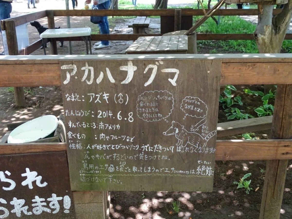 画像9