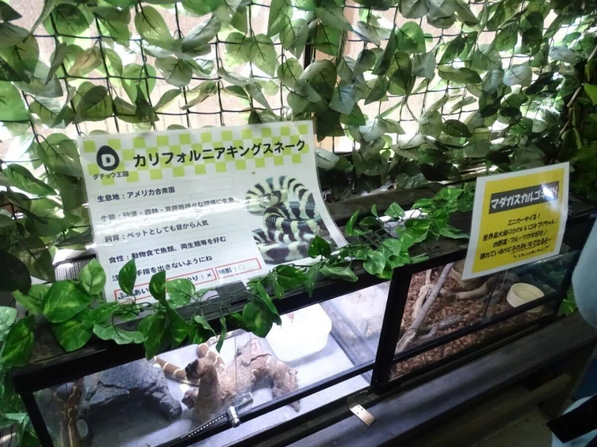 画像17