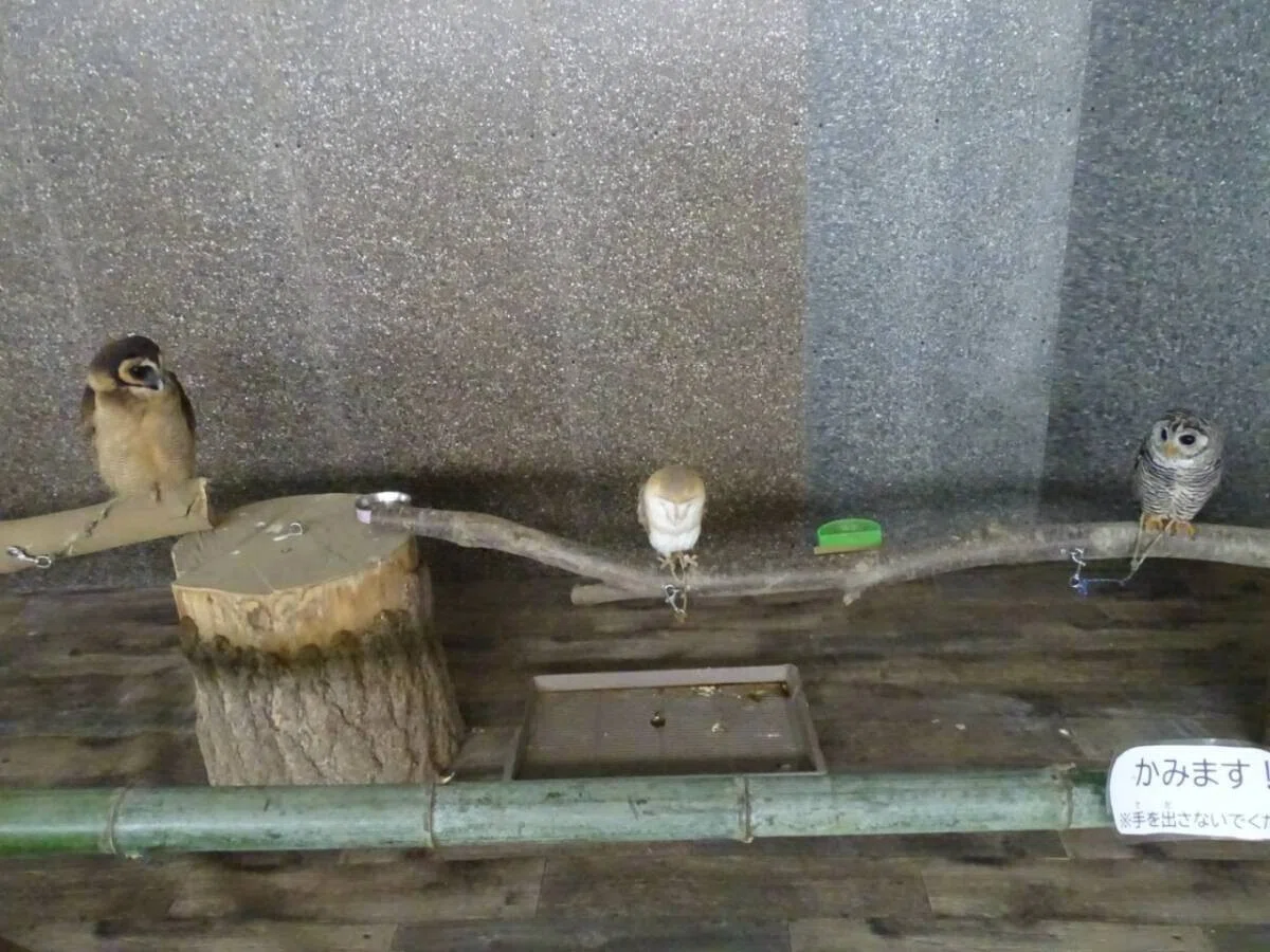 画像21