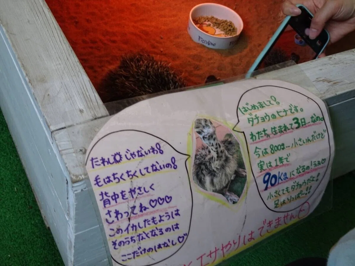 画像37