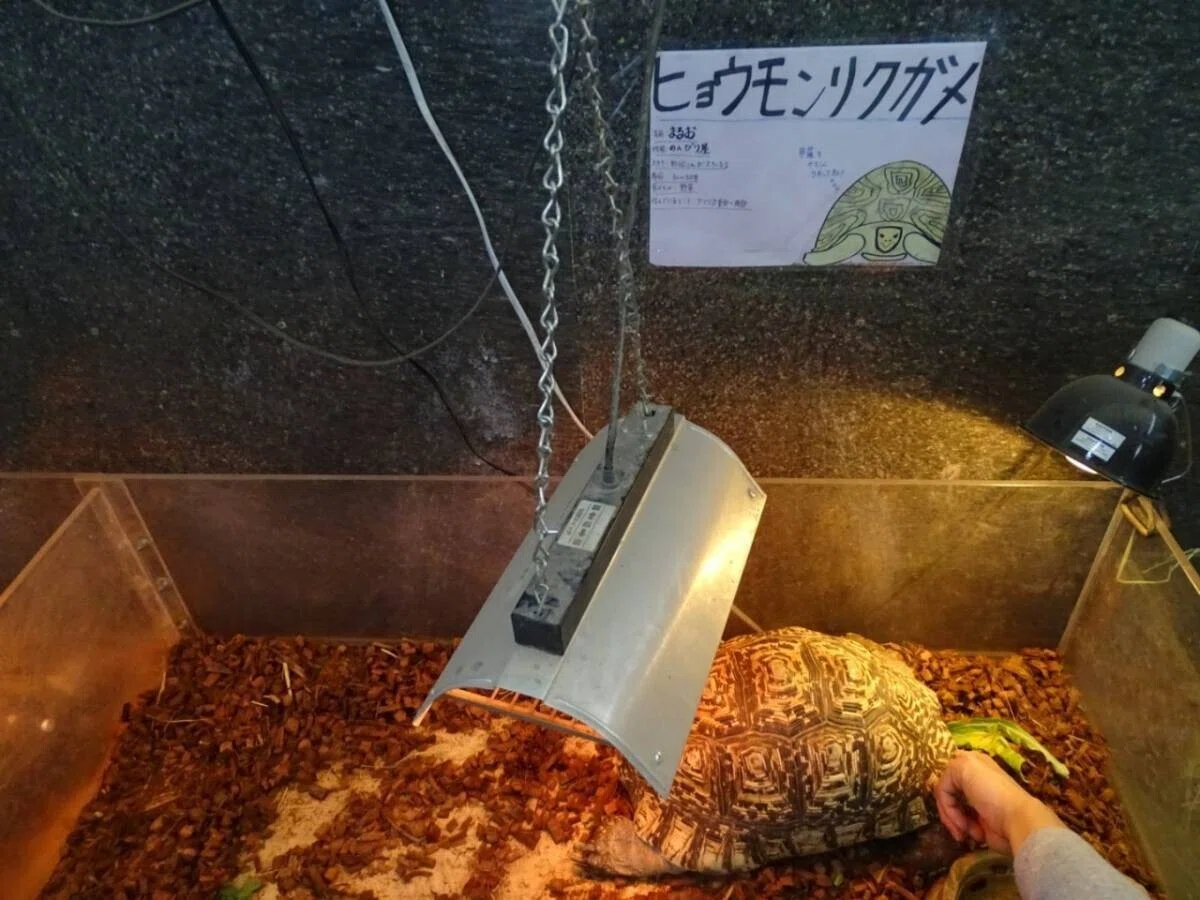 画像35