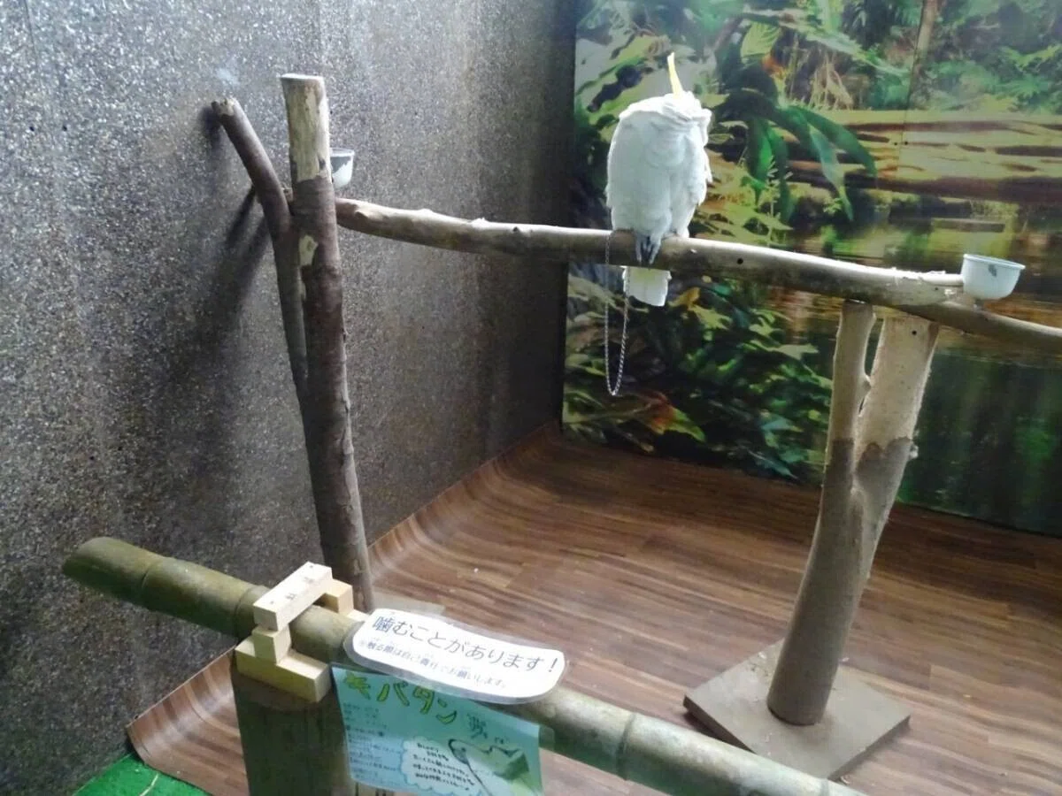 画像27