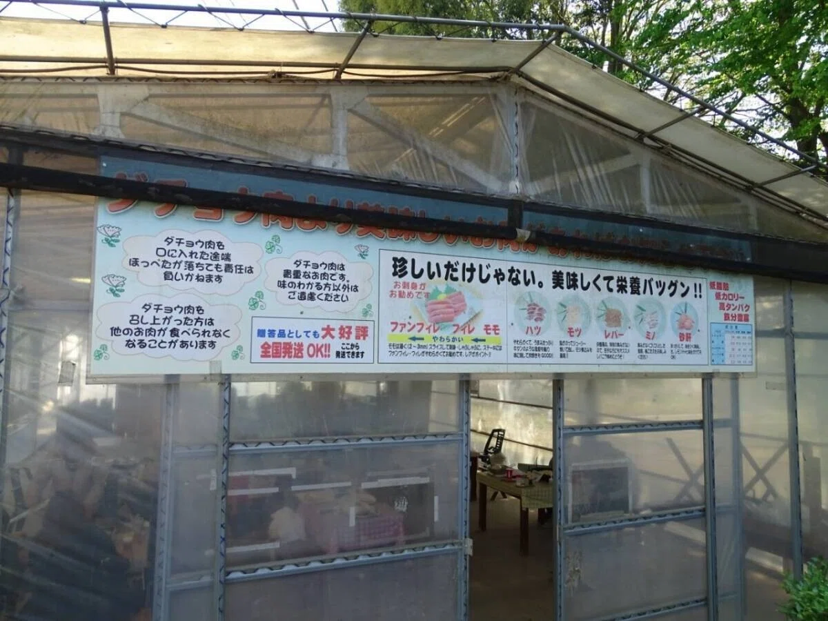 画像45