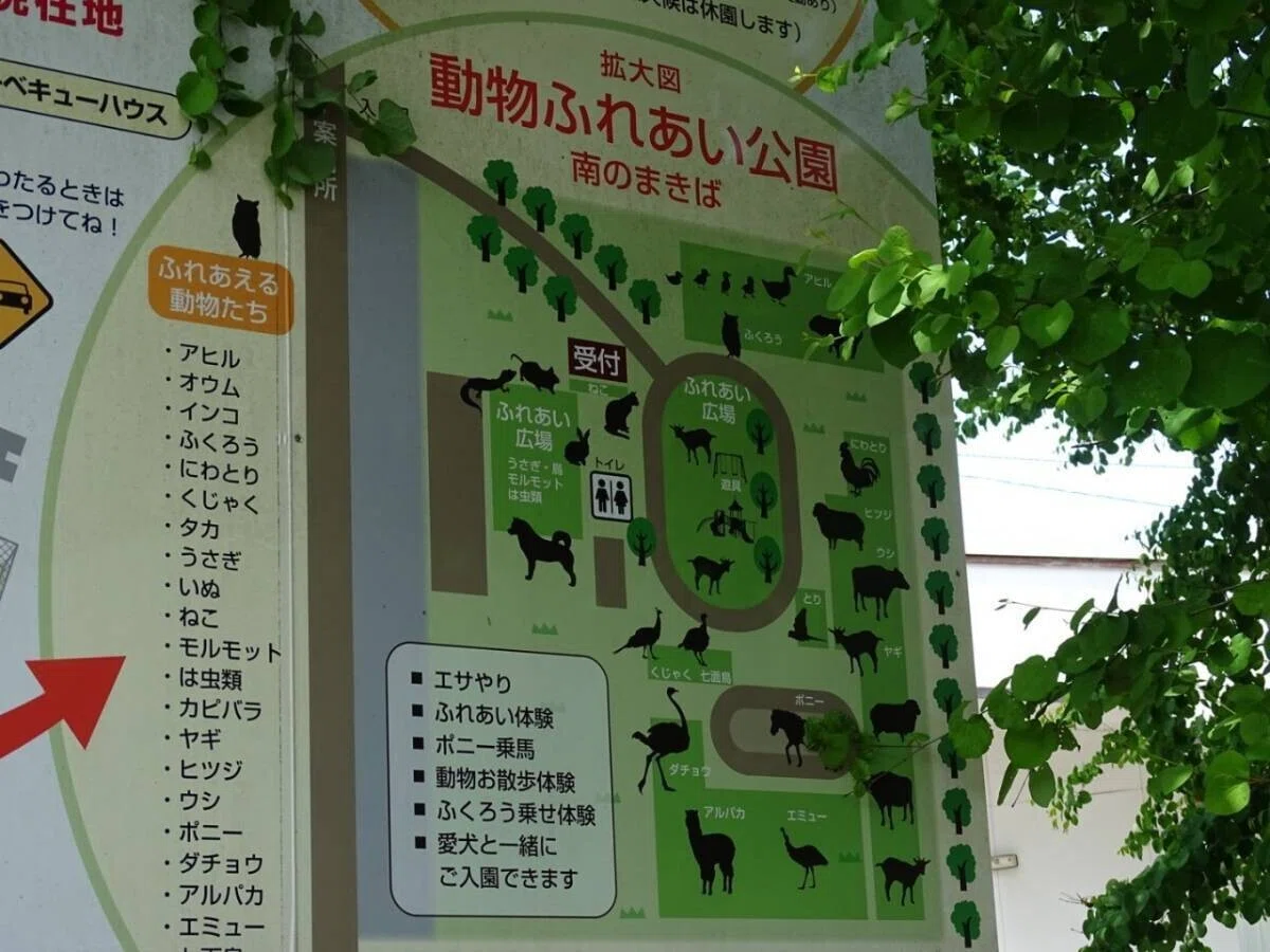 画像65
