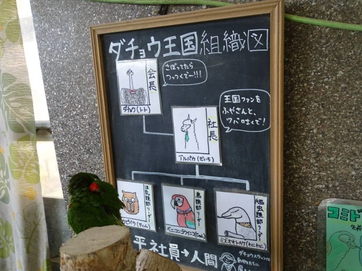 画像42