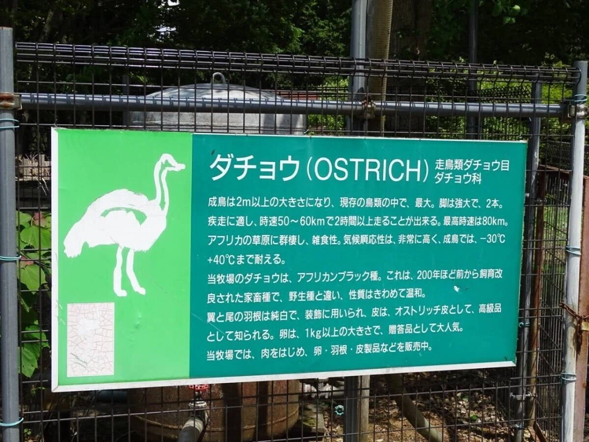 画像62