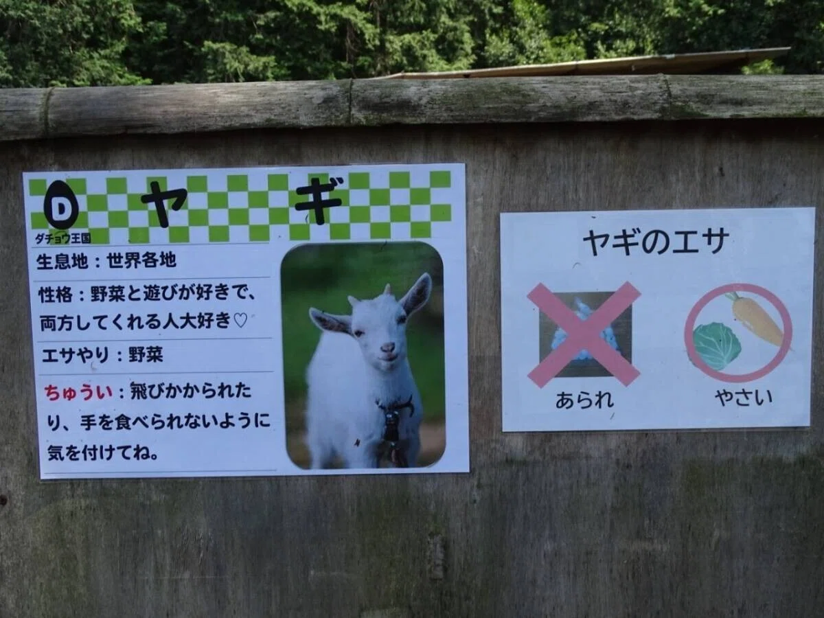 画像94
