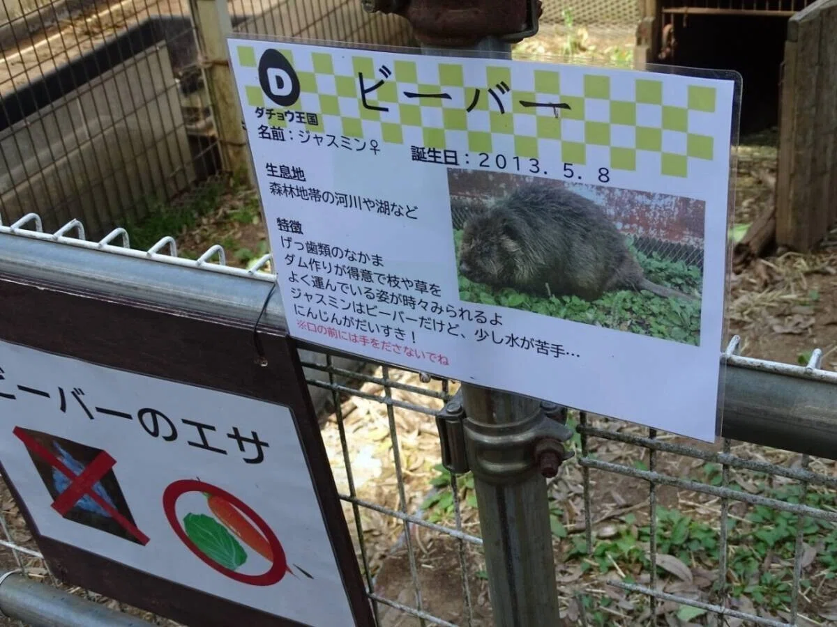 画像95