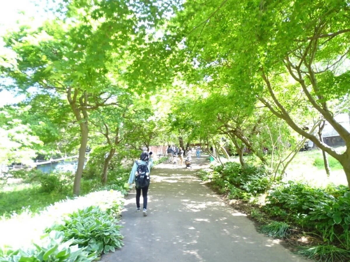 画像71
