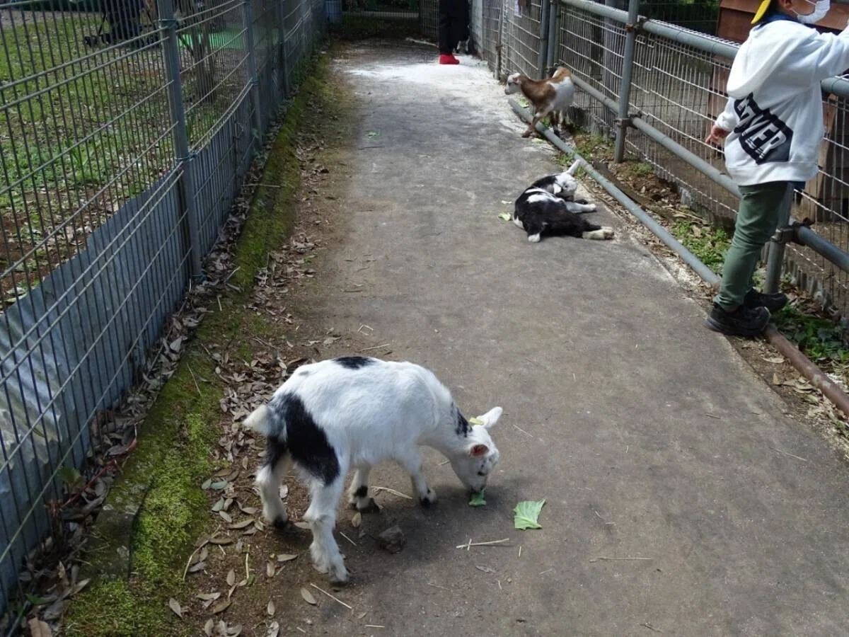 画像79