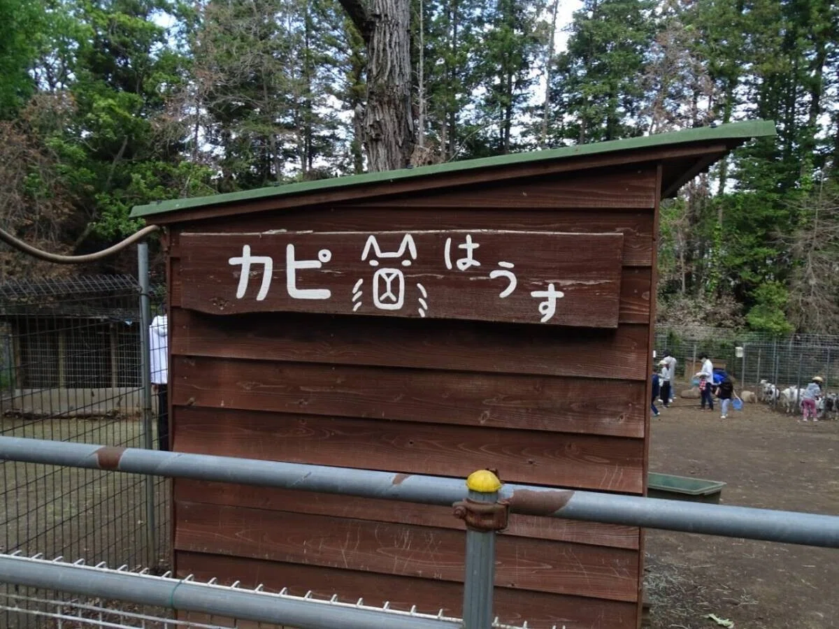 画像82