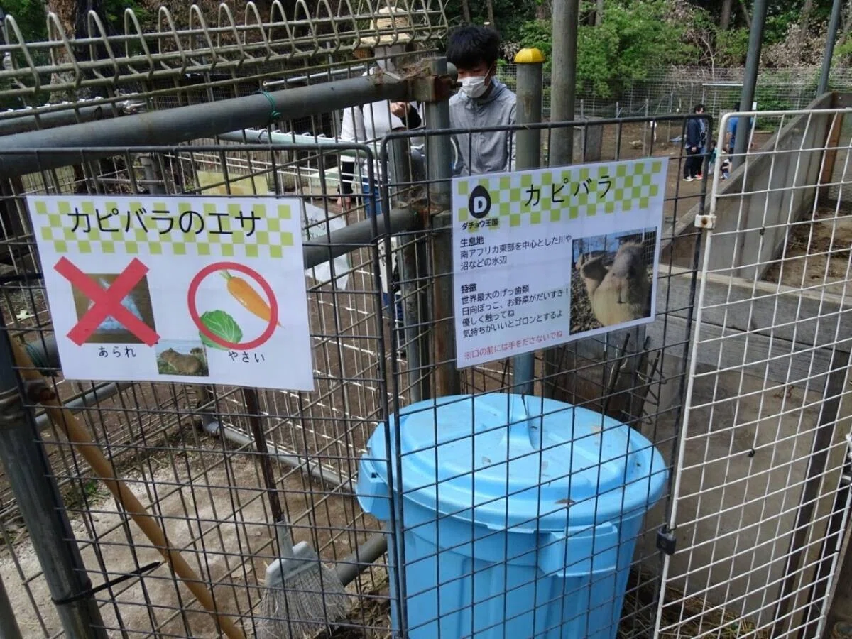 画像81