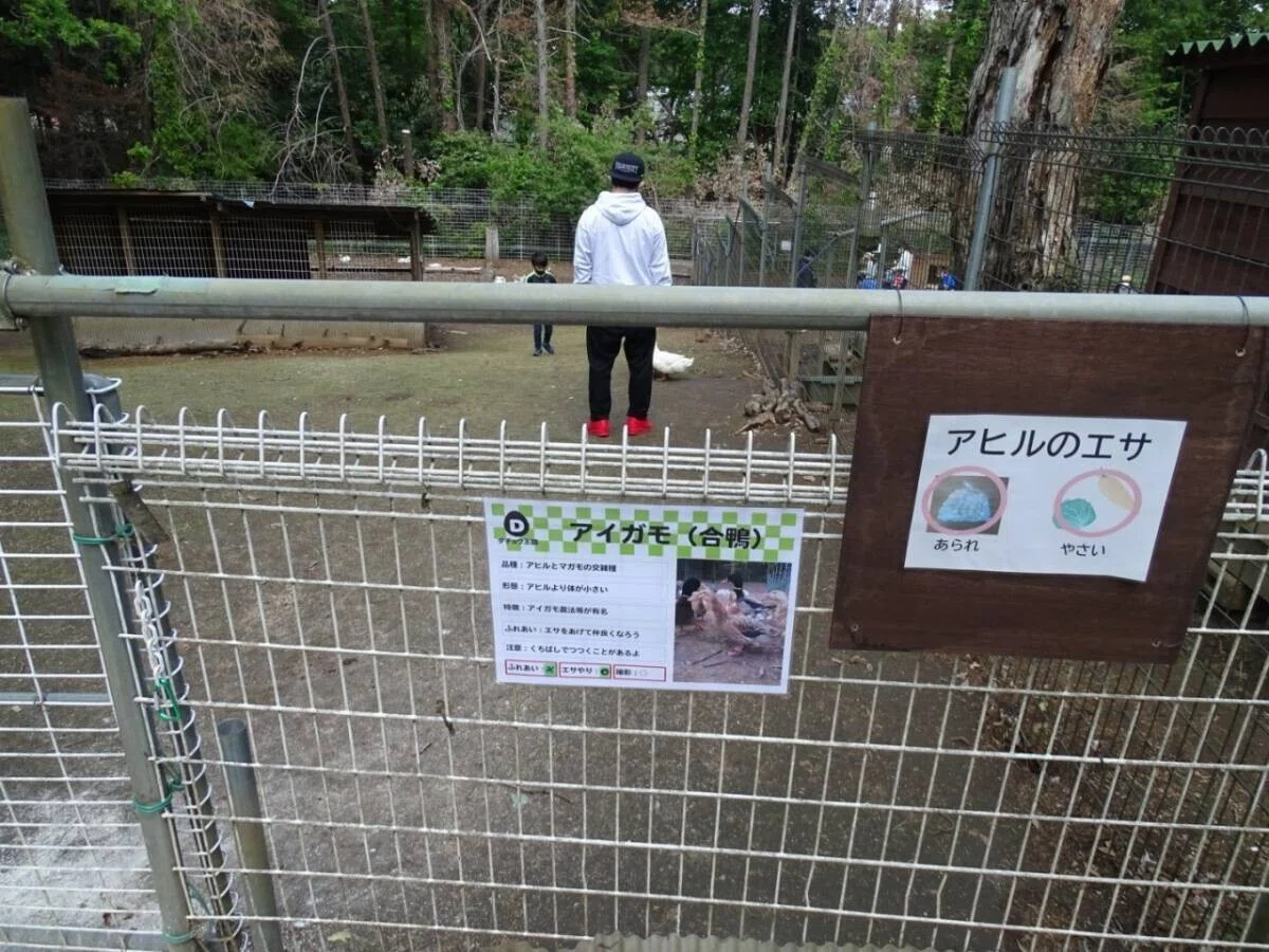 画像80