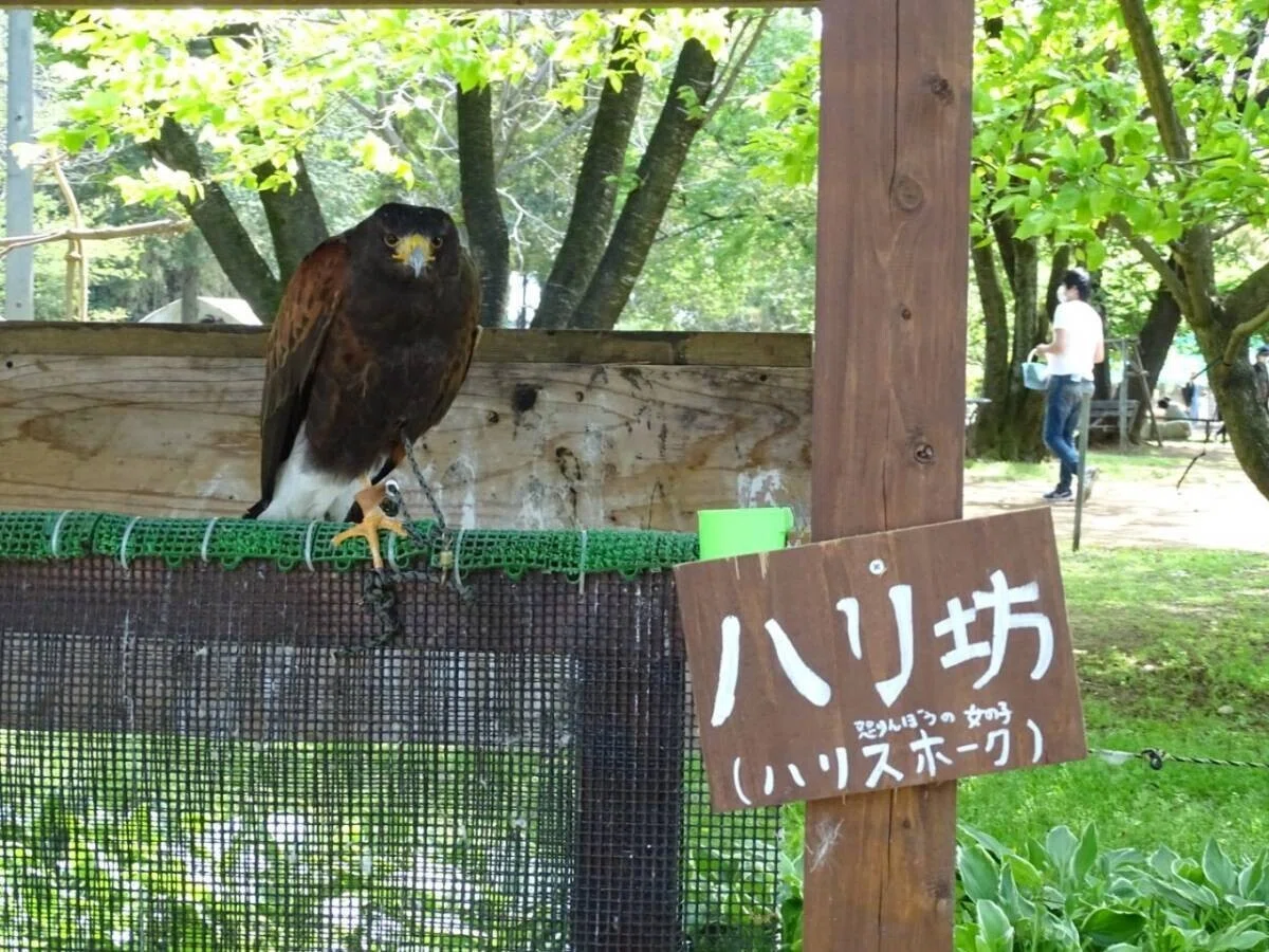 画像74
