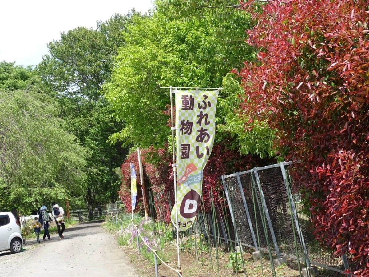 画像69