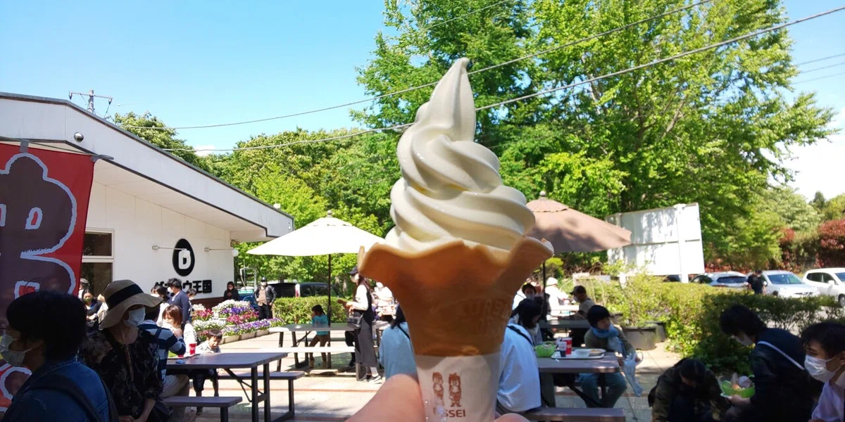 画像5