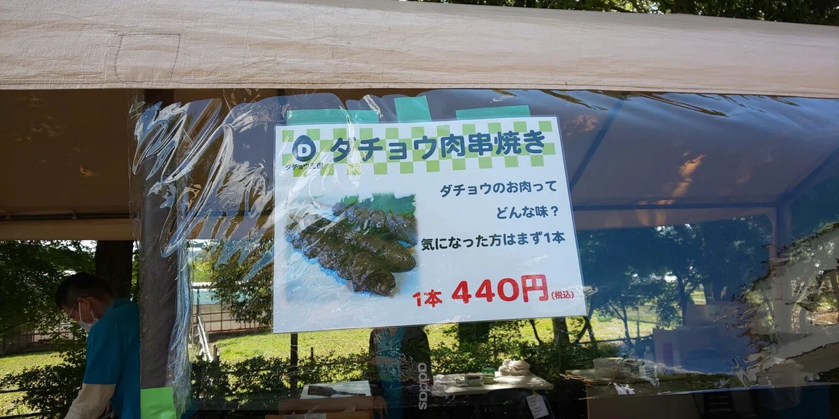 画像145
