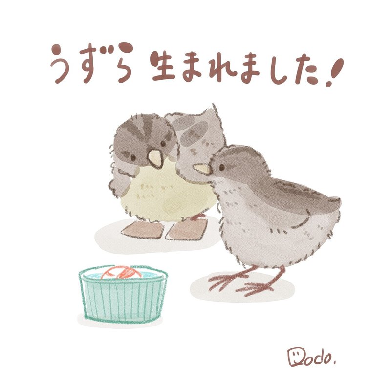 うずら生まれました どーどー Note
