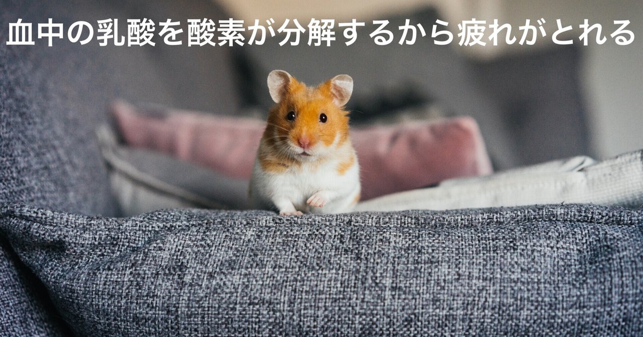 尾田栄一郎 の新着タグ記事一覧 Note つくる つながる とどける