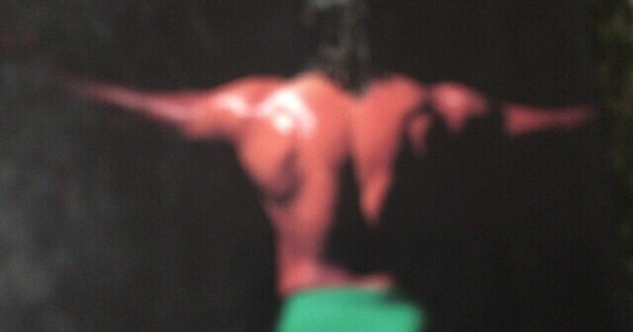 サブカル大蔵経716 船木誠勝のハイブリッド肉体改造法 ベースボールマガジン社 永江雅邦 Note