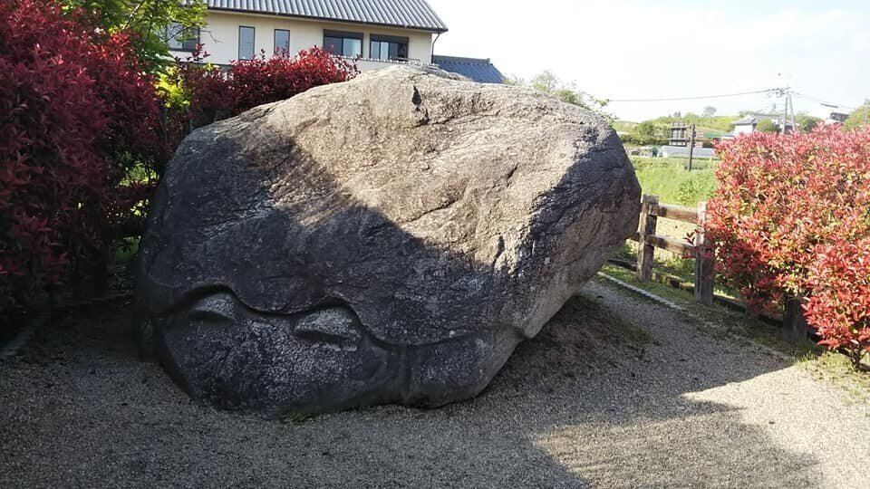 明日香村に鎮座する不思議な石造物たち①～亀石～｜緑