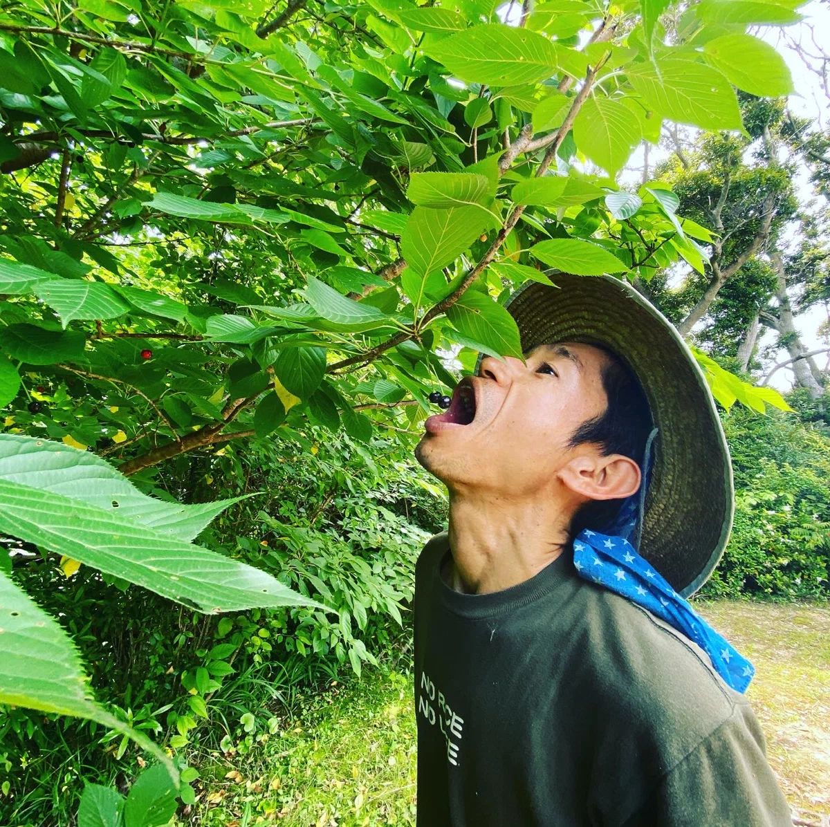 画像