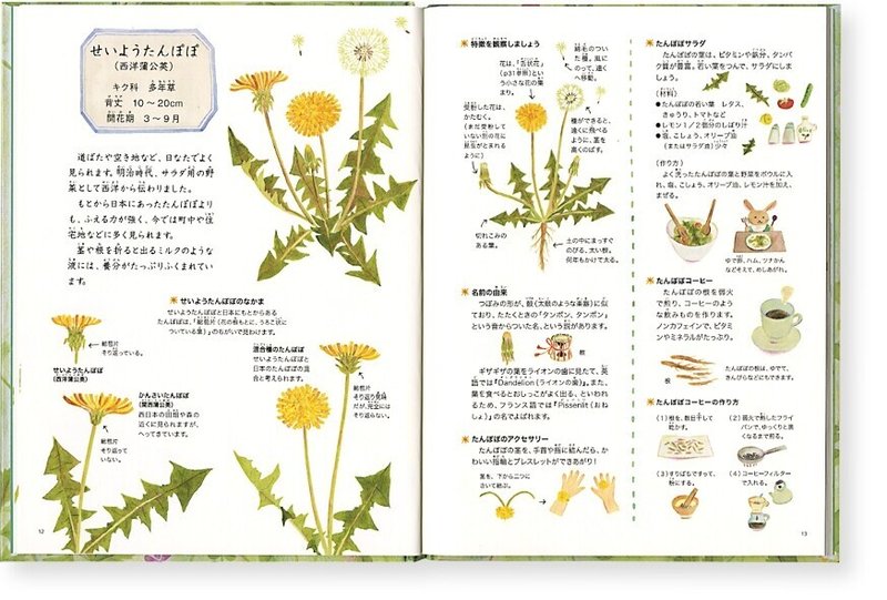 野の花えほん本文5