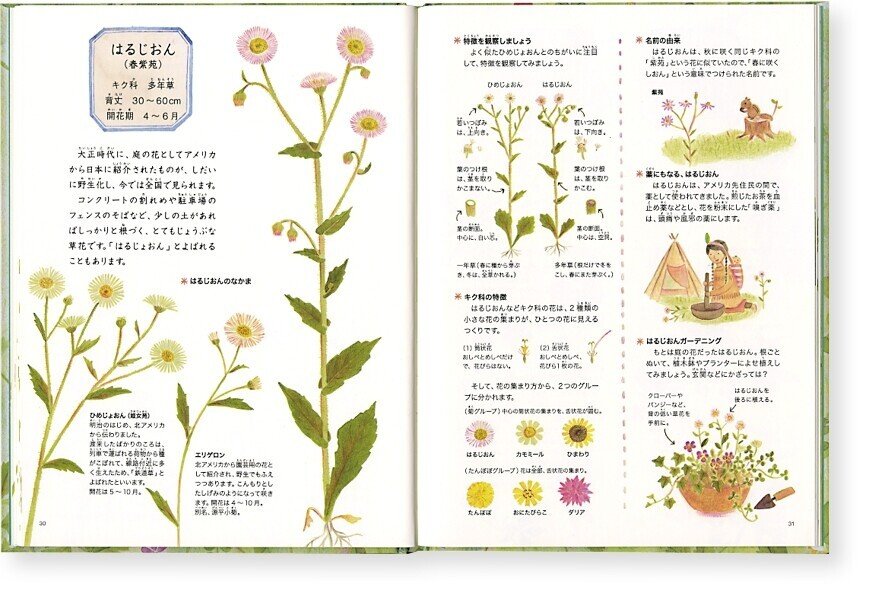 野の花えほん本文9