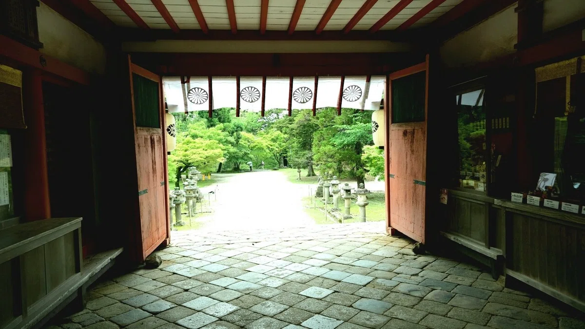 画像4