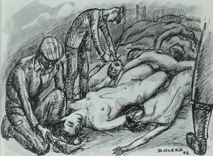 画像15