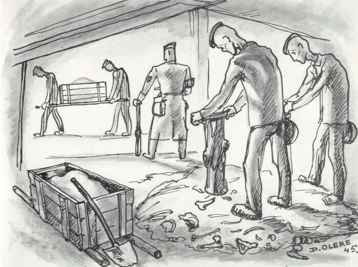 画像18