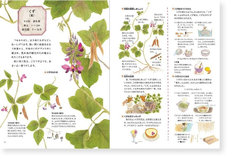 野の花えほん秋と冬の花本文8