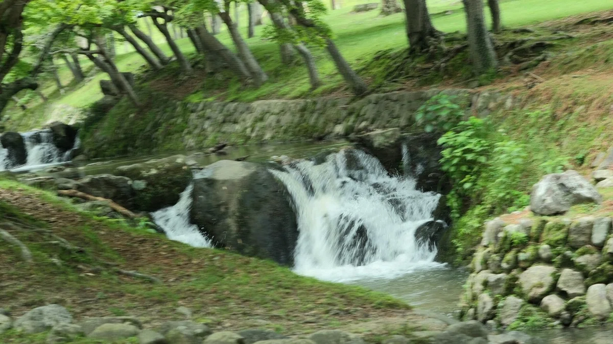 画像12