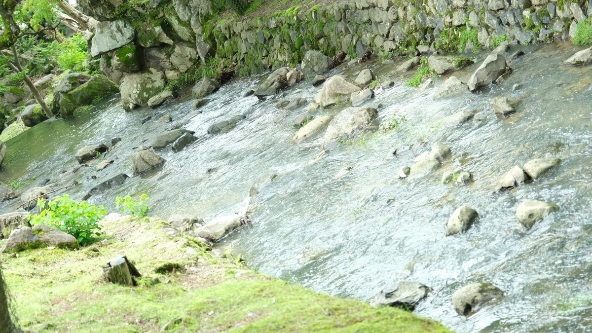 画像14