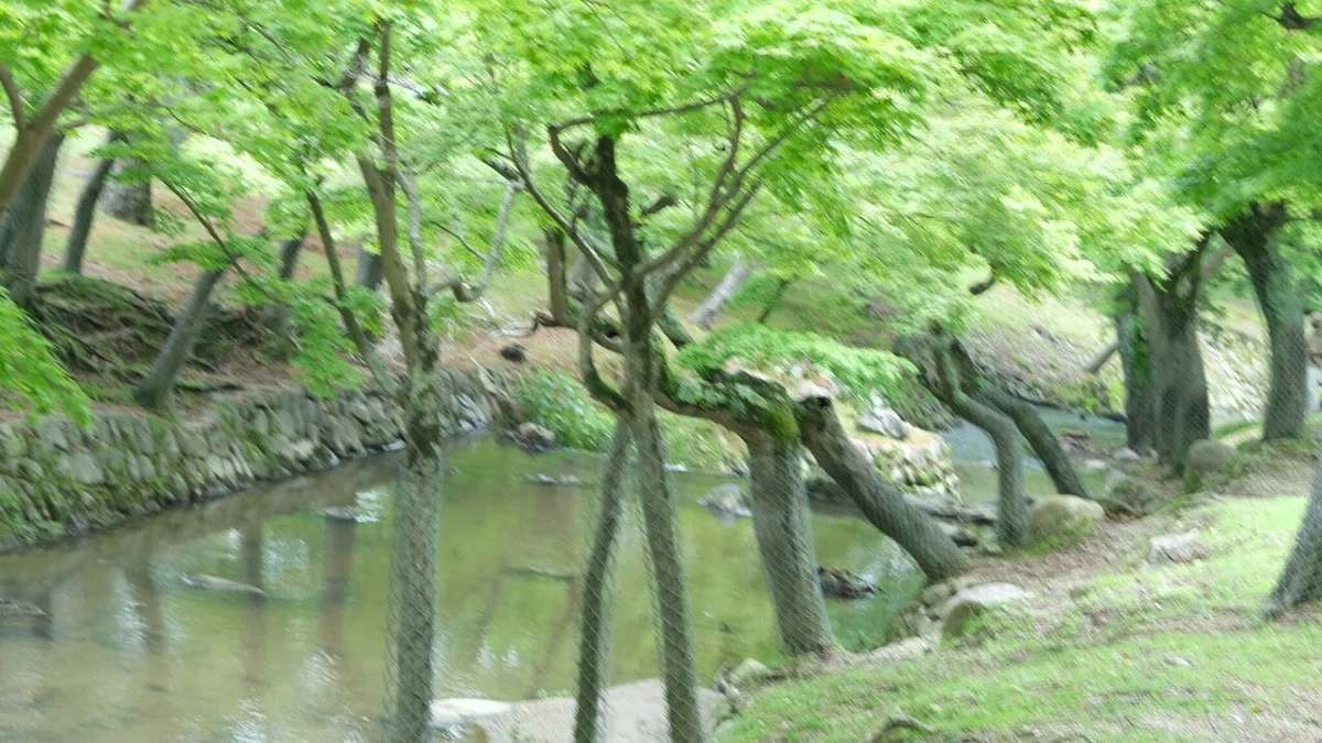 画像15