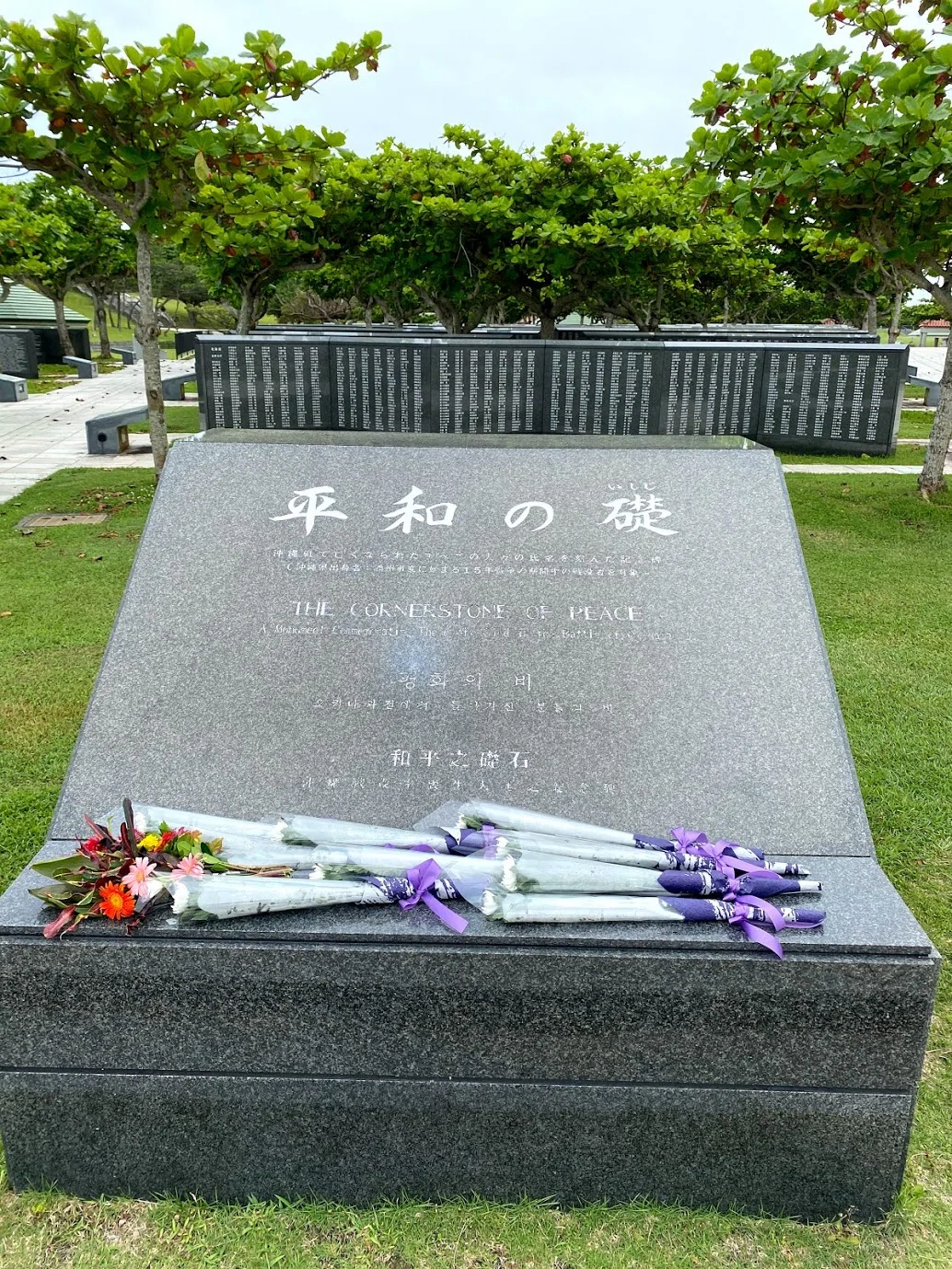 画像13