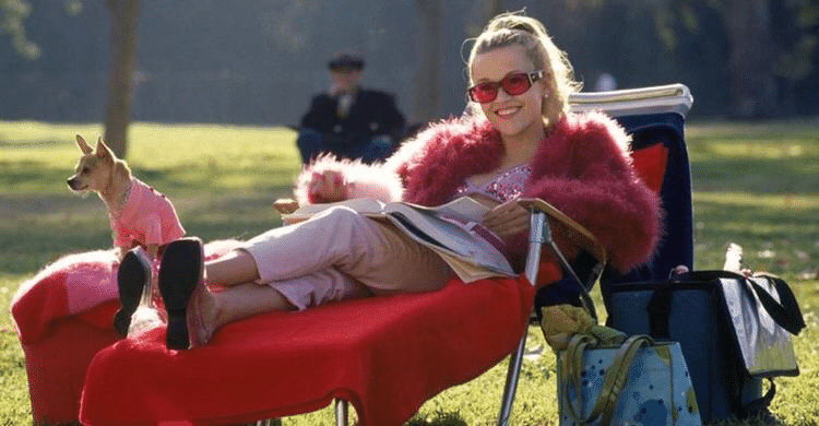 Legally Blonde The Musical 和訳 The Harvard Variations Aoi Note