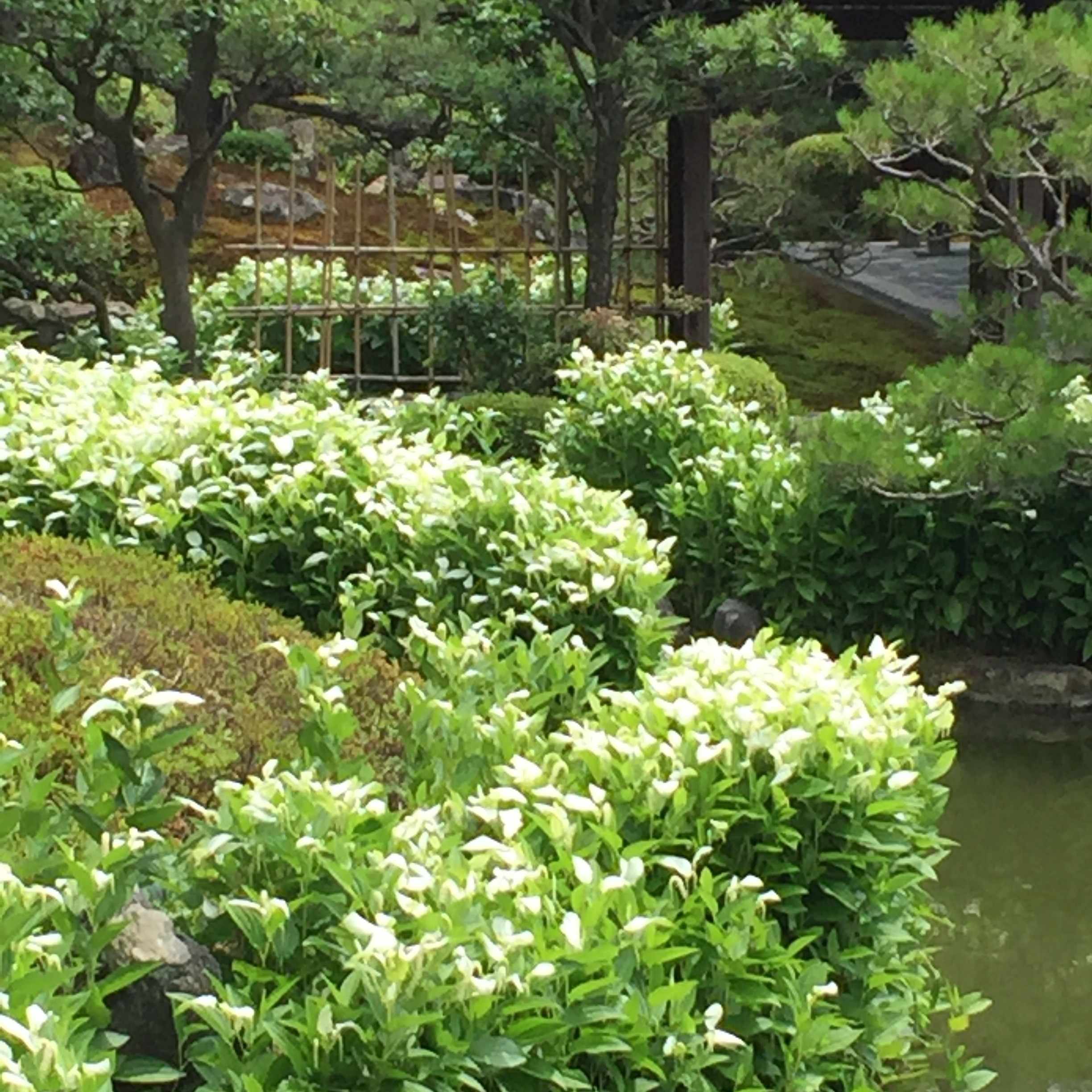 SAYSUM feat.KID FRESINO/KEIJU｜音