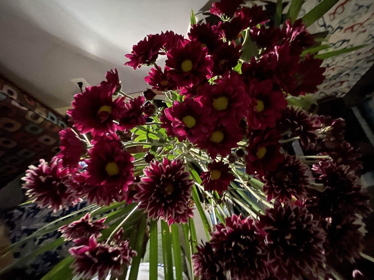 雨の訪問者 Senri Oe 大江千里 Note