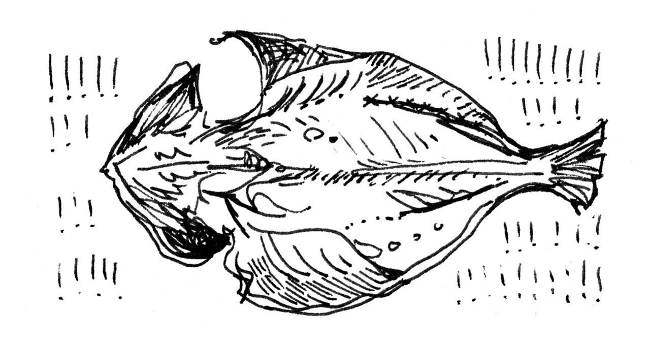 来い 濃い焼き魚 エッセー Isshi エッセー Note