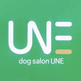 dogsalon_une