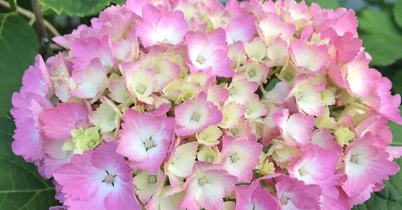 短編小説 毎日更新 Wakuimakoto ジャミロワクイ Note