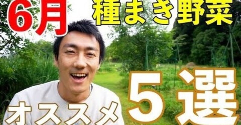 自然農 家庭菜園 6月におすすめの種まき野菜5選 井上寅雄農園 井上隆太朗 Note 自然農 家庭菜園 6月におすすめの種まき野菜5選 井上寅雄農園 井上隆太朗 Note